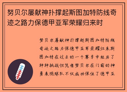 努贝尔屡献神扑撑起斯图加特防线奇迹之路力保德甲亚军荣耀归来时 努贝尔屡献神扑撑起斯图加特防线奇迹之路力保德甲亚军荣耀归来时